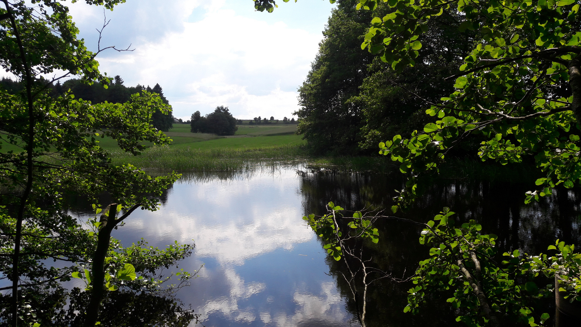 Spiegeltag :Wolken in meinem Lernschwimmteich