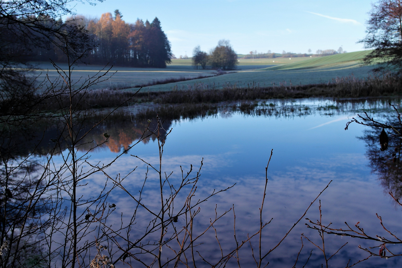 Spiegeltag : Wolken und Wald gespiegelt  in meinem Lernschwimmteich