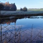 Spiegeltag : Wolken und Wald gespiegelt  in meinem Lernschwimmteich