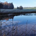 Spiegeltag : Wolken und Wald gespiegelt  in meinem Lernschwimmteich