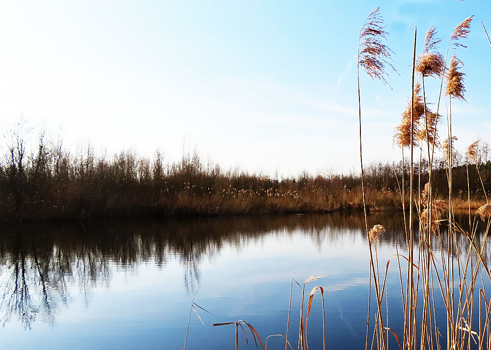 Spiegeltag: wolkenlos am See