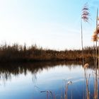 Spiegeltag: wolkenlos am See