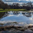 Spiegeltag - Wolkenspiegelung