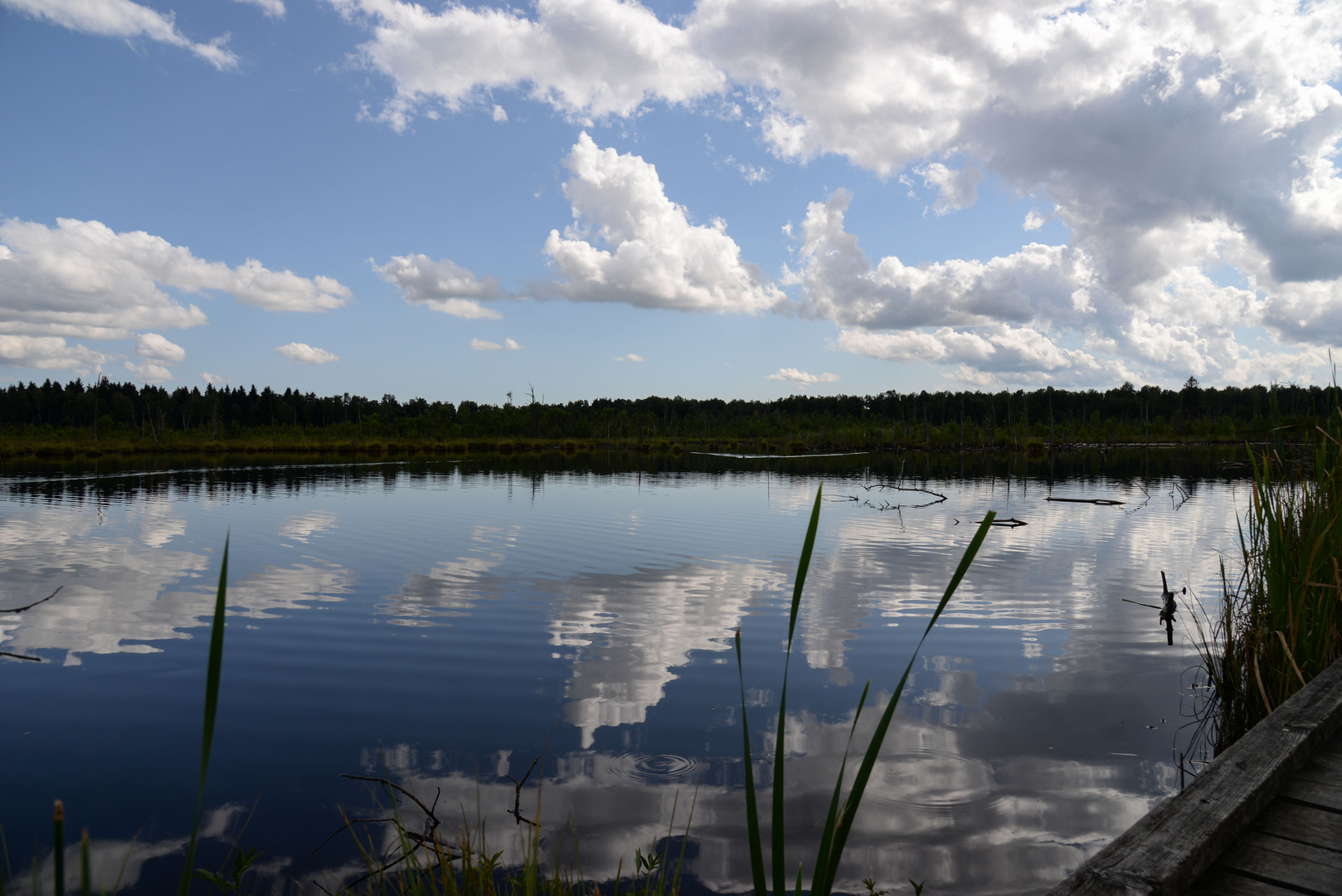 Spiegeltag:  Wolkenspiel