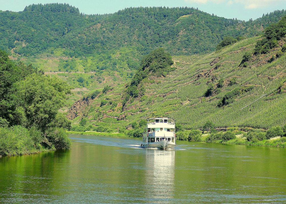 Spiegeltag:Mosel bei Bremm