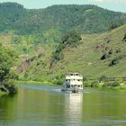 Spiegeltag:Mosel bei Bremm