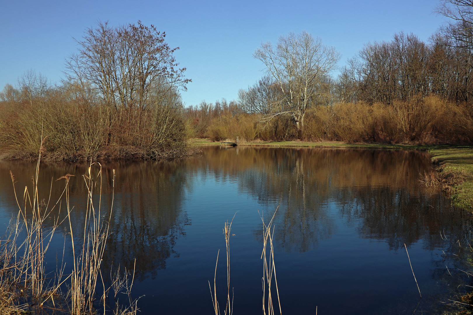 Spiegelteich im Frühlingslicht