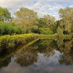 Spiegelteich in der Aue