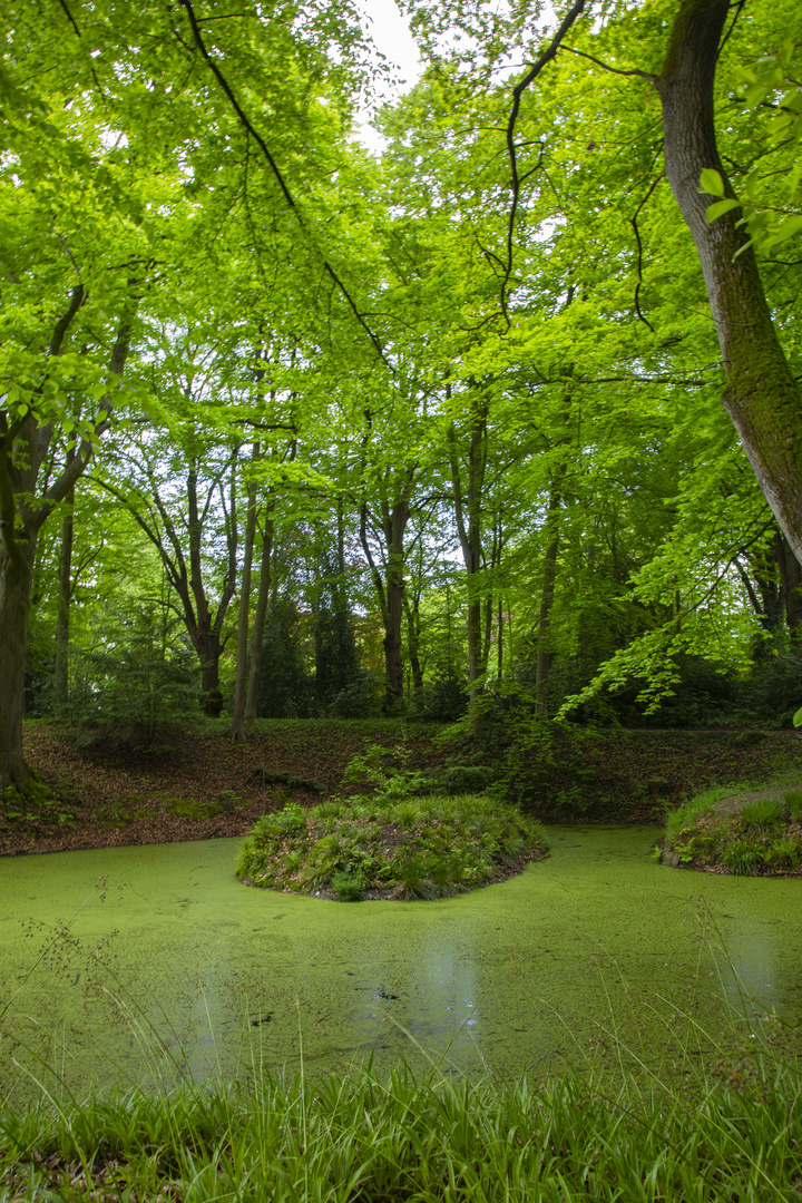 Spiegelteich in Knoops Park in Bremen