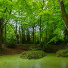 Spiegelteich in Knoops Park in Bremen