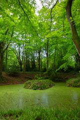 Spiegelteich in Knoops Park in Bremen