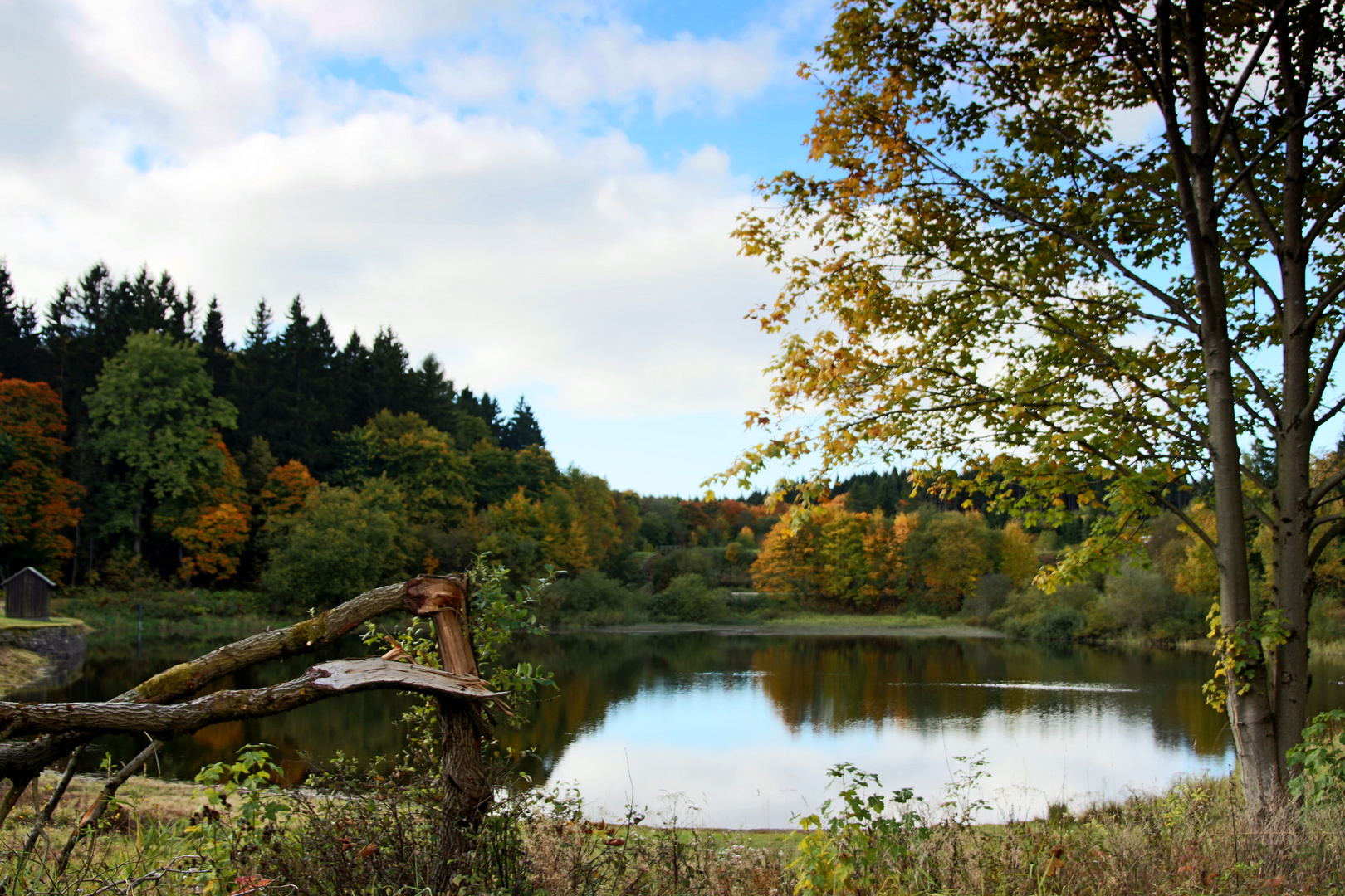 Spiegelthaler Teich bei Clausthal-Zellerfeld