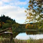 Spiegelthaler Teich bei Clausthal-Zellerfeld