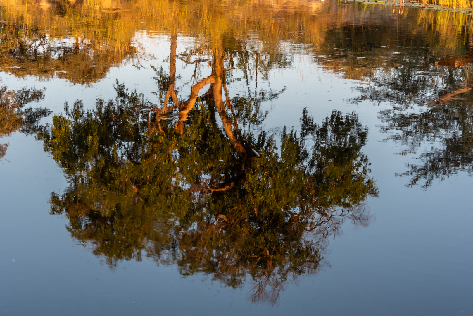 Spiegelung