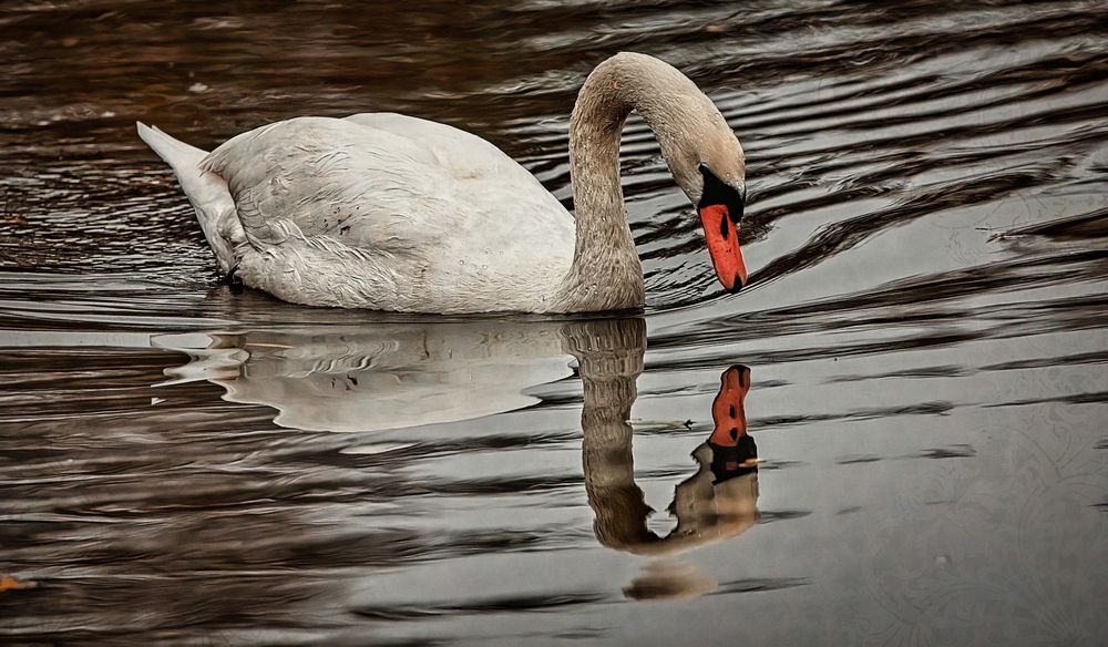 Spiegelung 