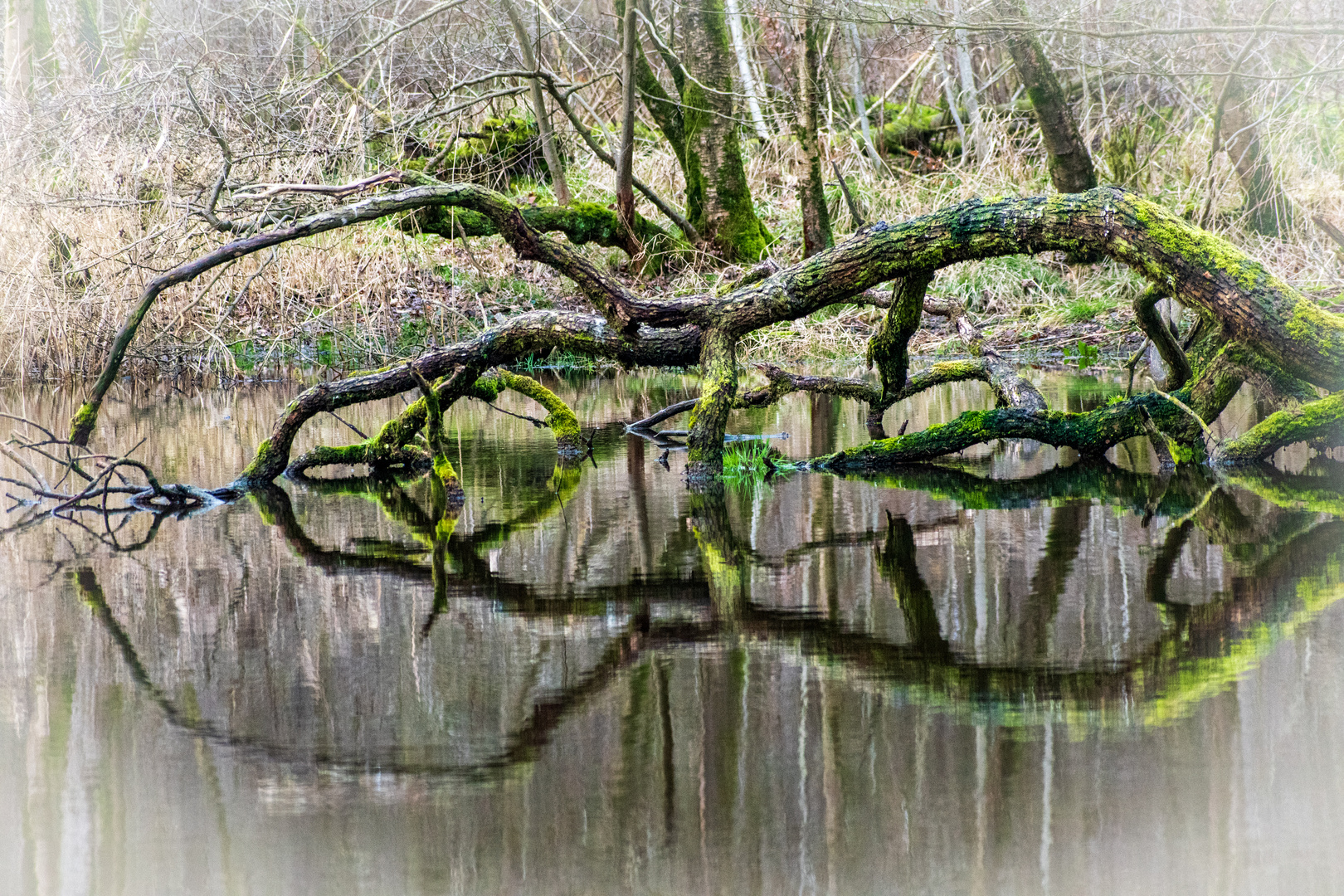 Spiegelung 101