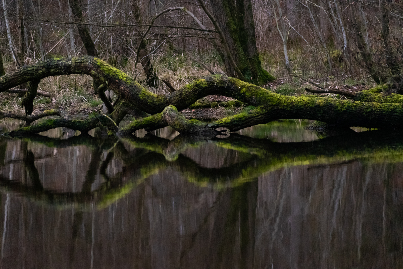 Spiegelung 103