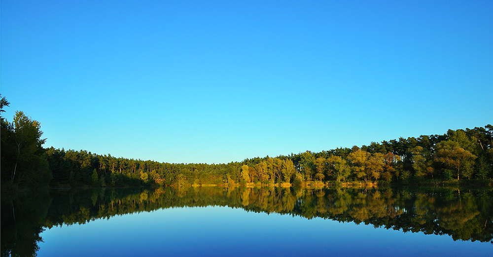 Spiegelung