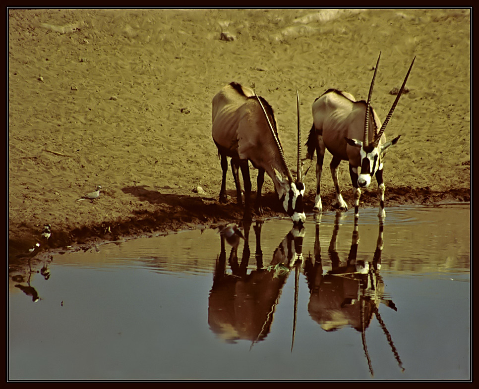 Spiegelung