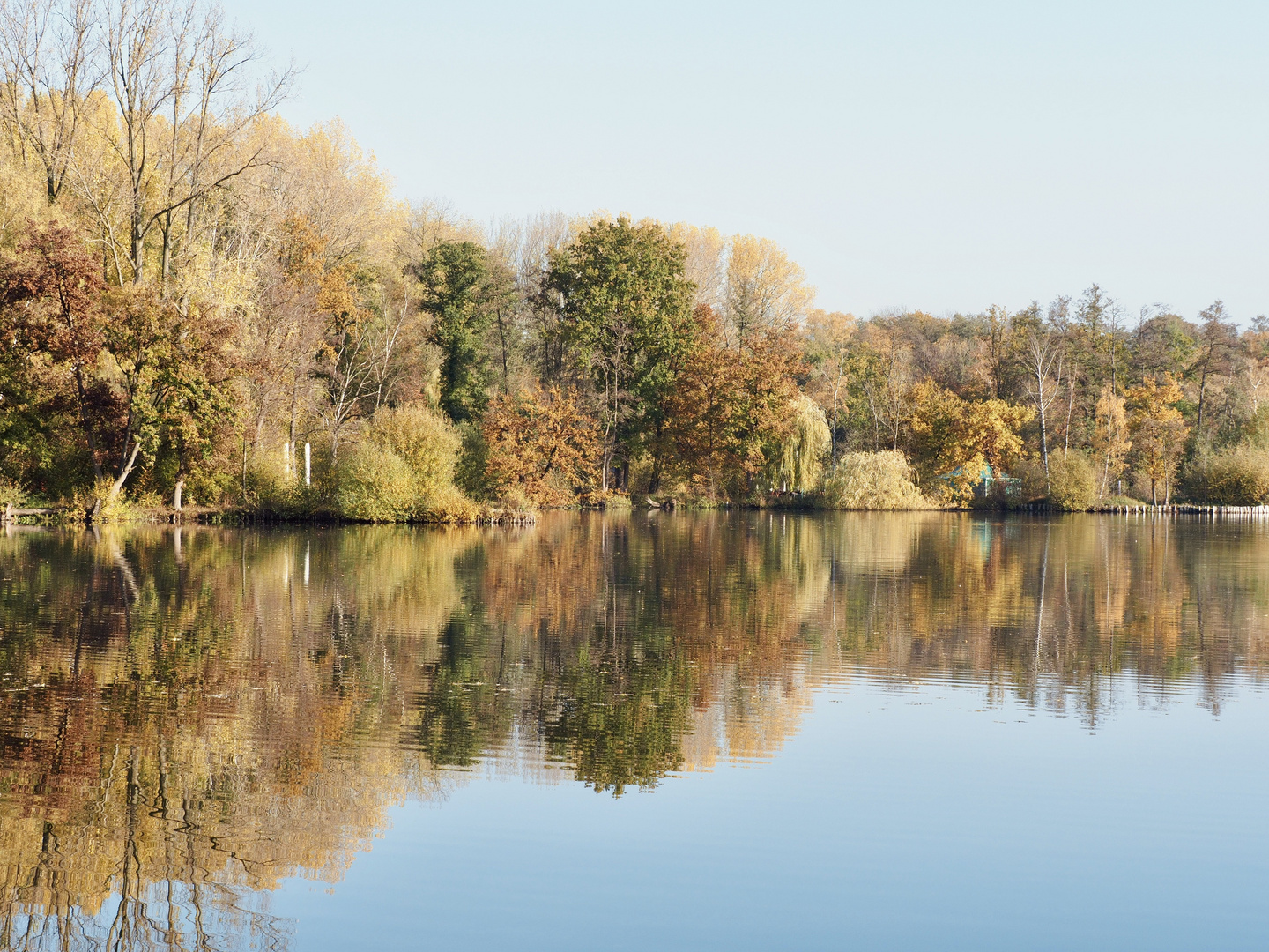 Spiegelung