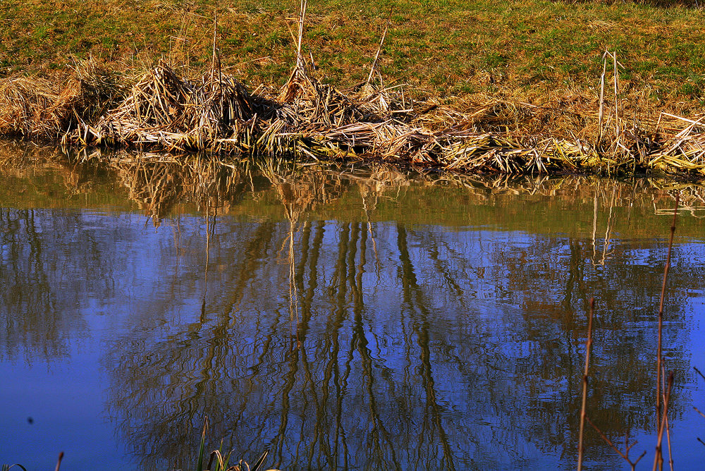 Spiegelung