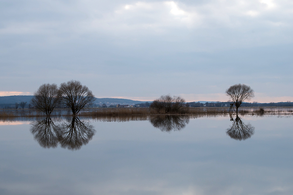 Spiegelung