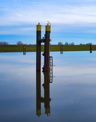 FroschAugen Foto & Bild  park, wasser, grün Bilder auf fotocommunity