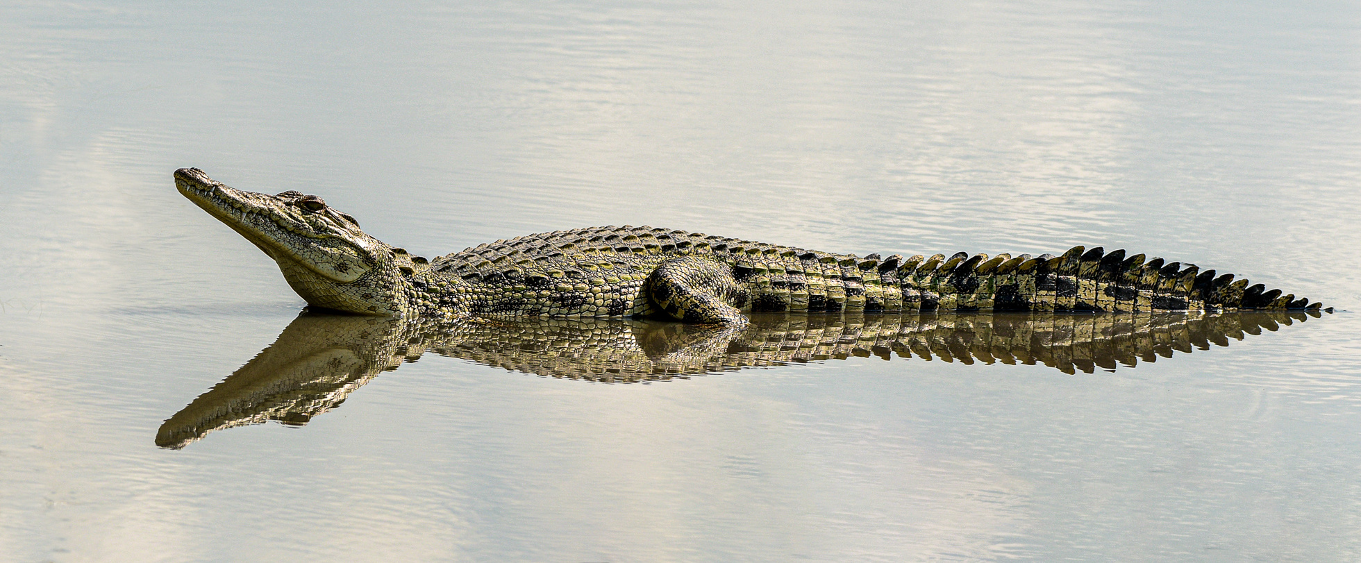 Spiegelung