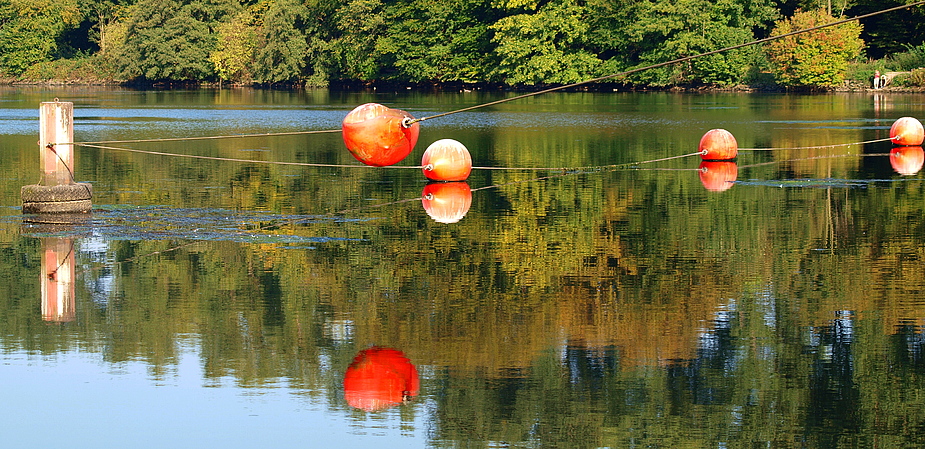 Spiegelung