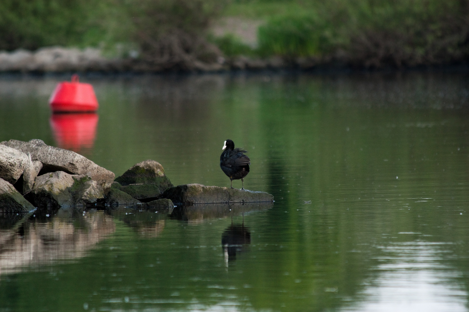 Spiegelung