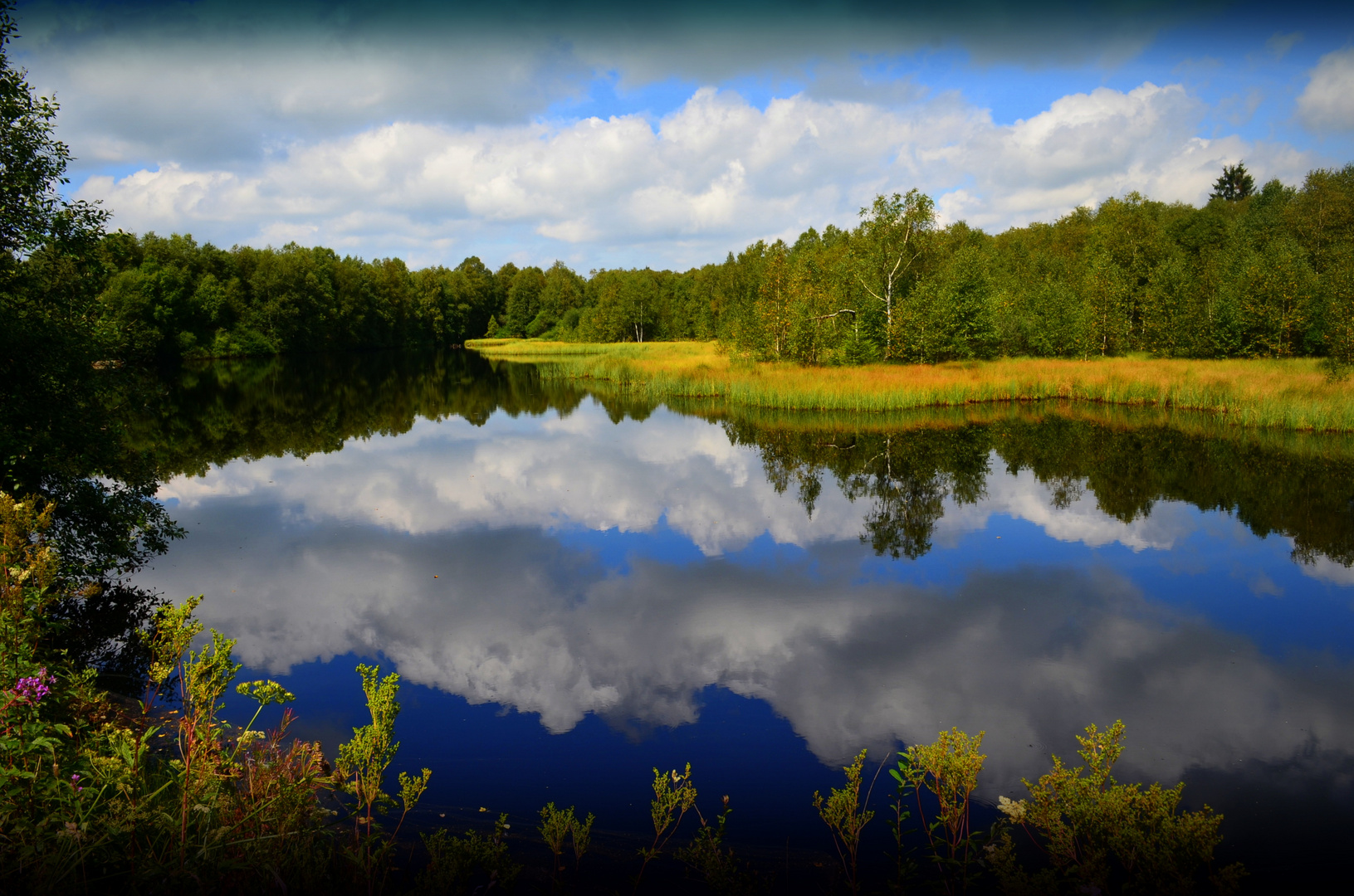 Spiegelung