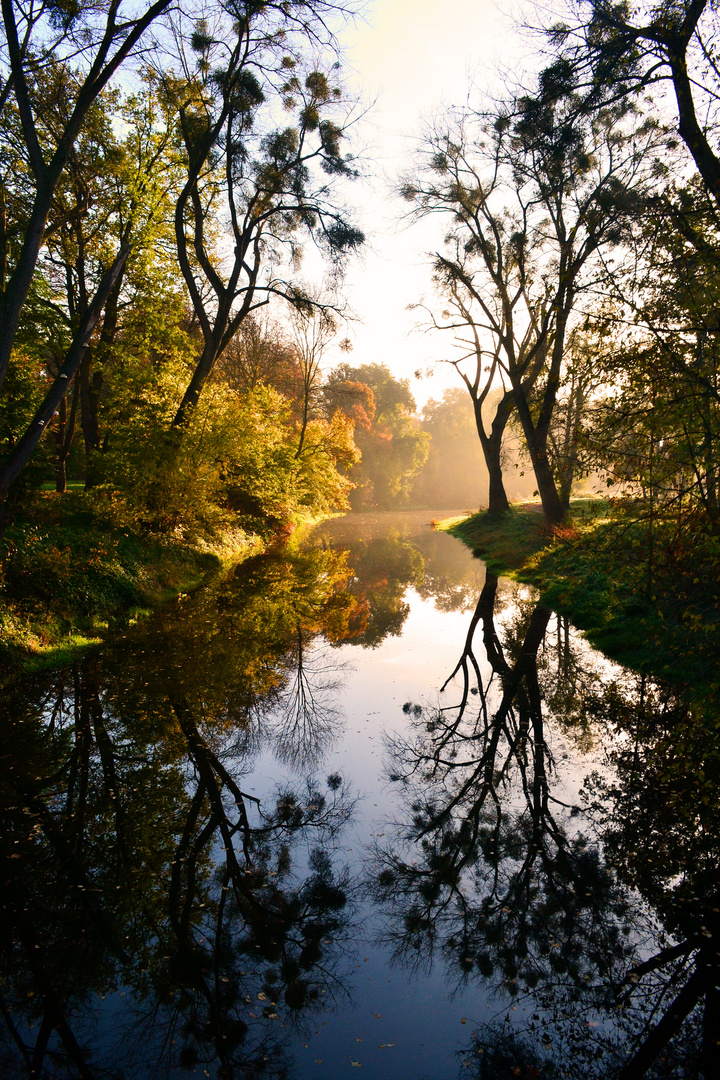 Spiegelung