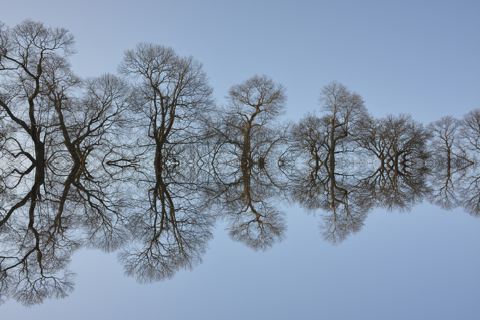 Spiegelung
