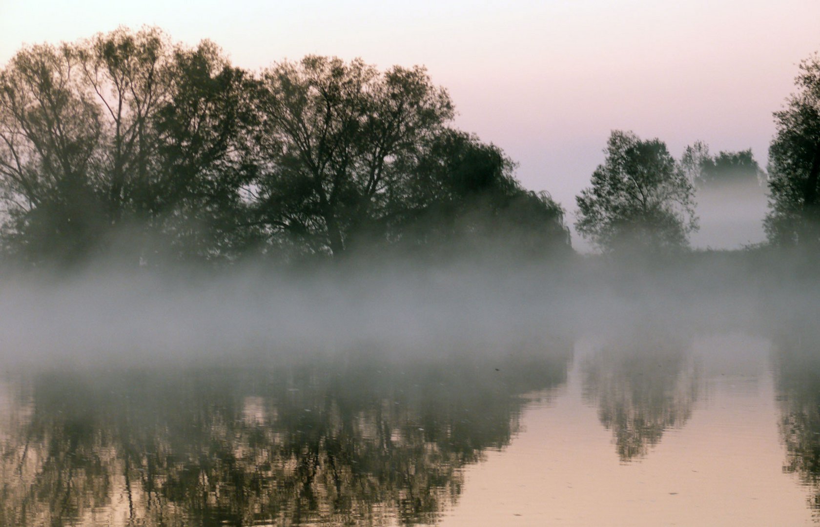 Spiegelung