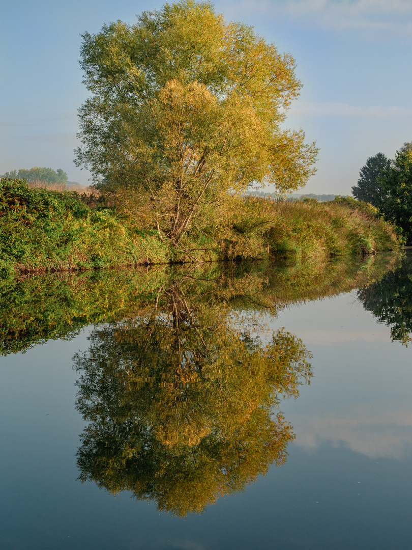 Spiegelung