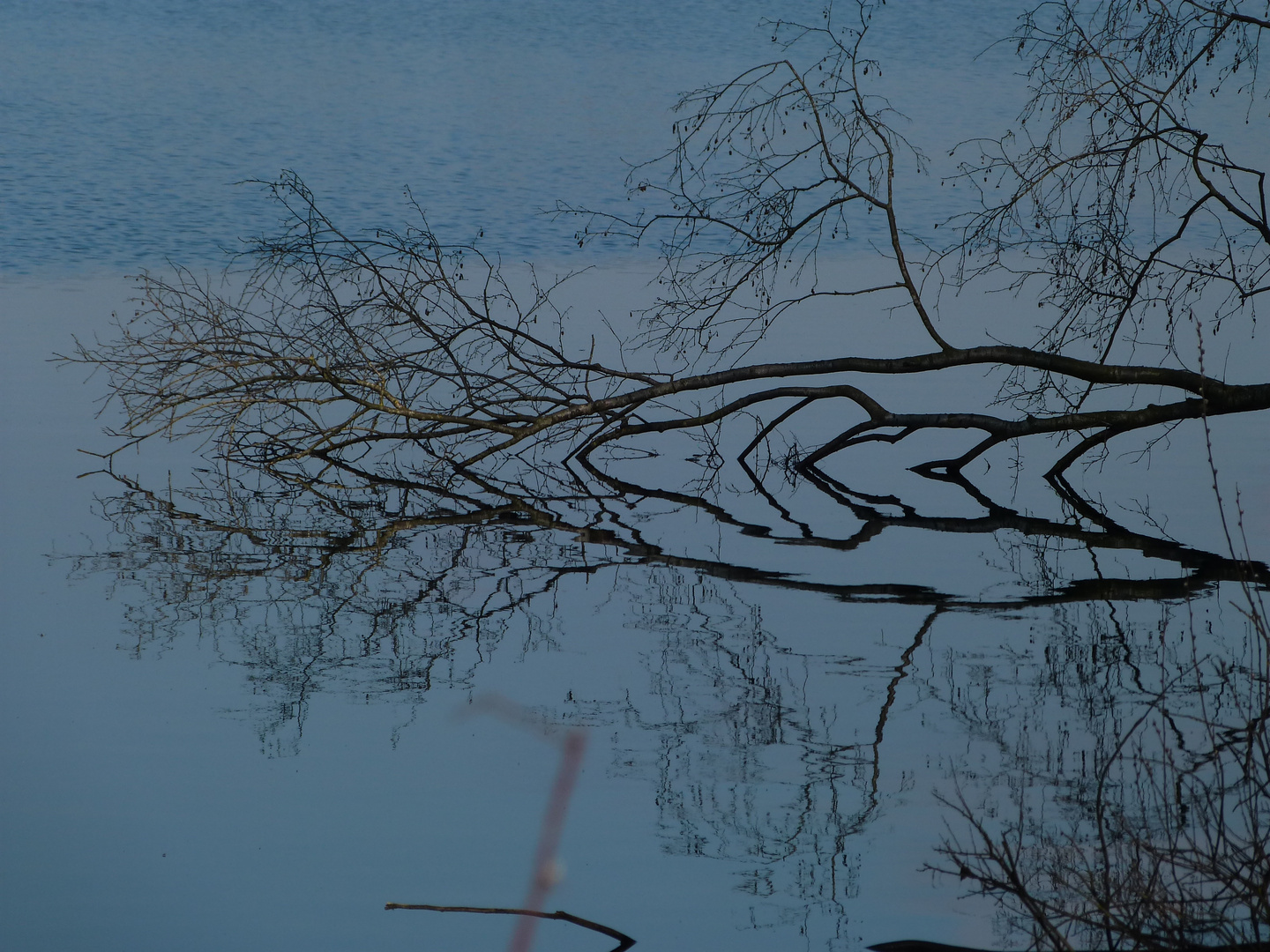 Spiegelung