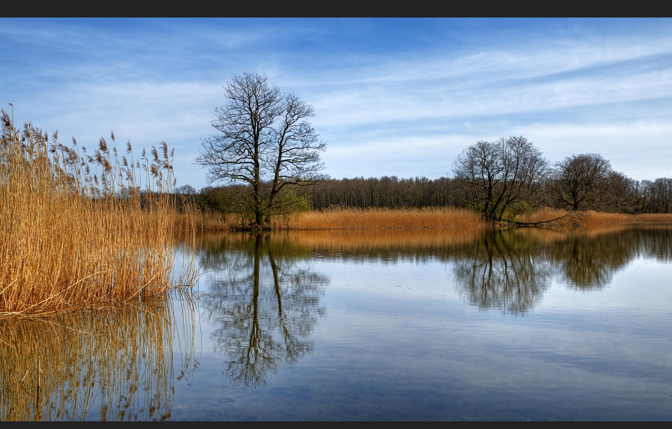 Spiegelung