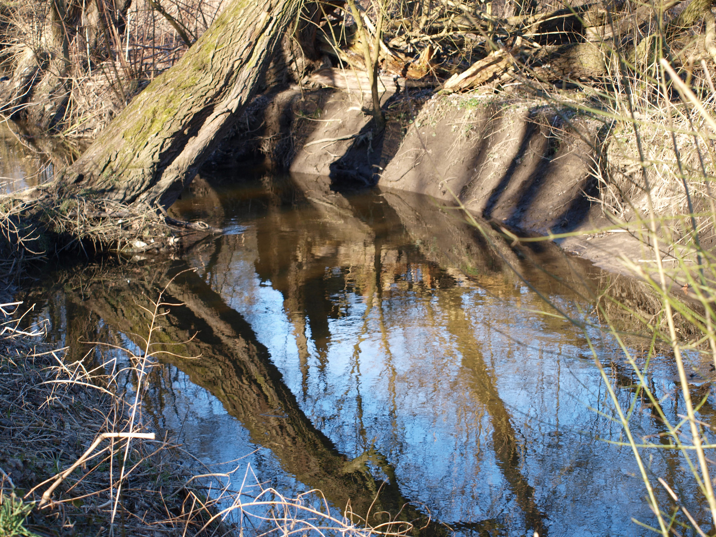 Spiegelung