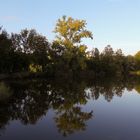 Spiegelung am Aalkistensee, Sept. 2015