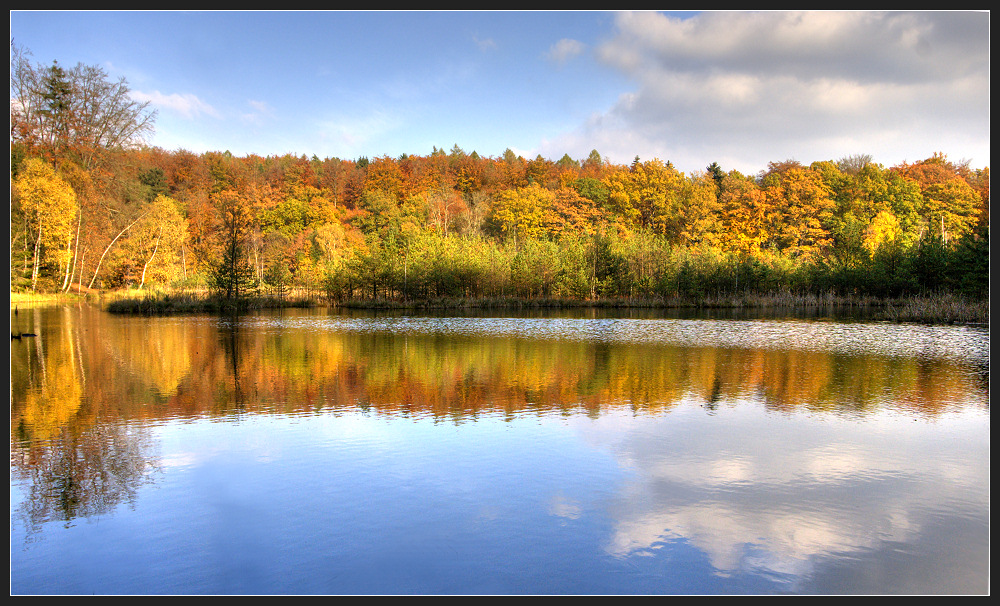 spiegelung am albertsee