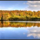 spiegelung am albertsee