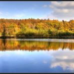 spiegelung am albertsee