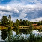 Spiegelung am Angelsbecksteich