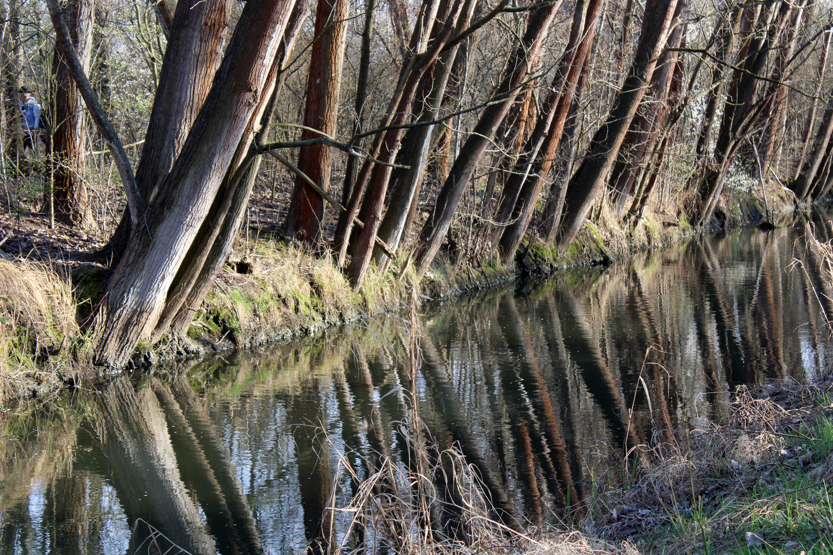 Spiegelung am Bach