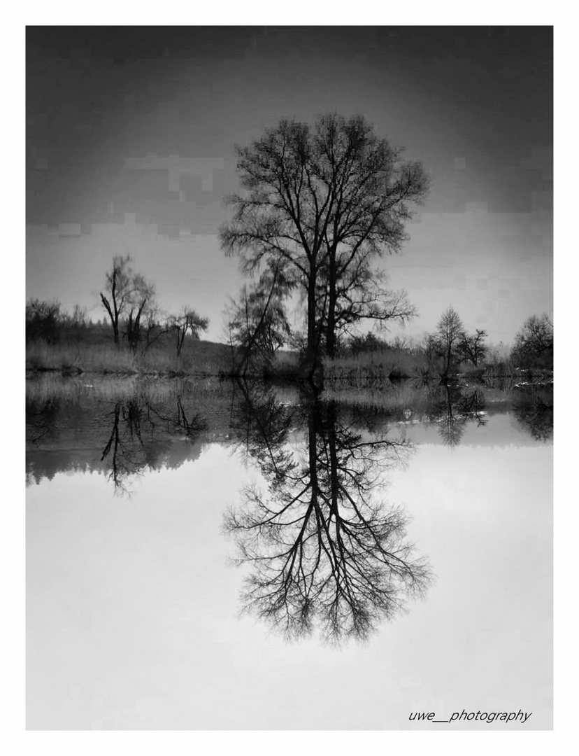 Spiegelung am Badsee 