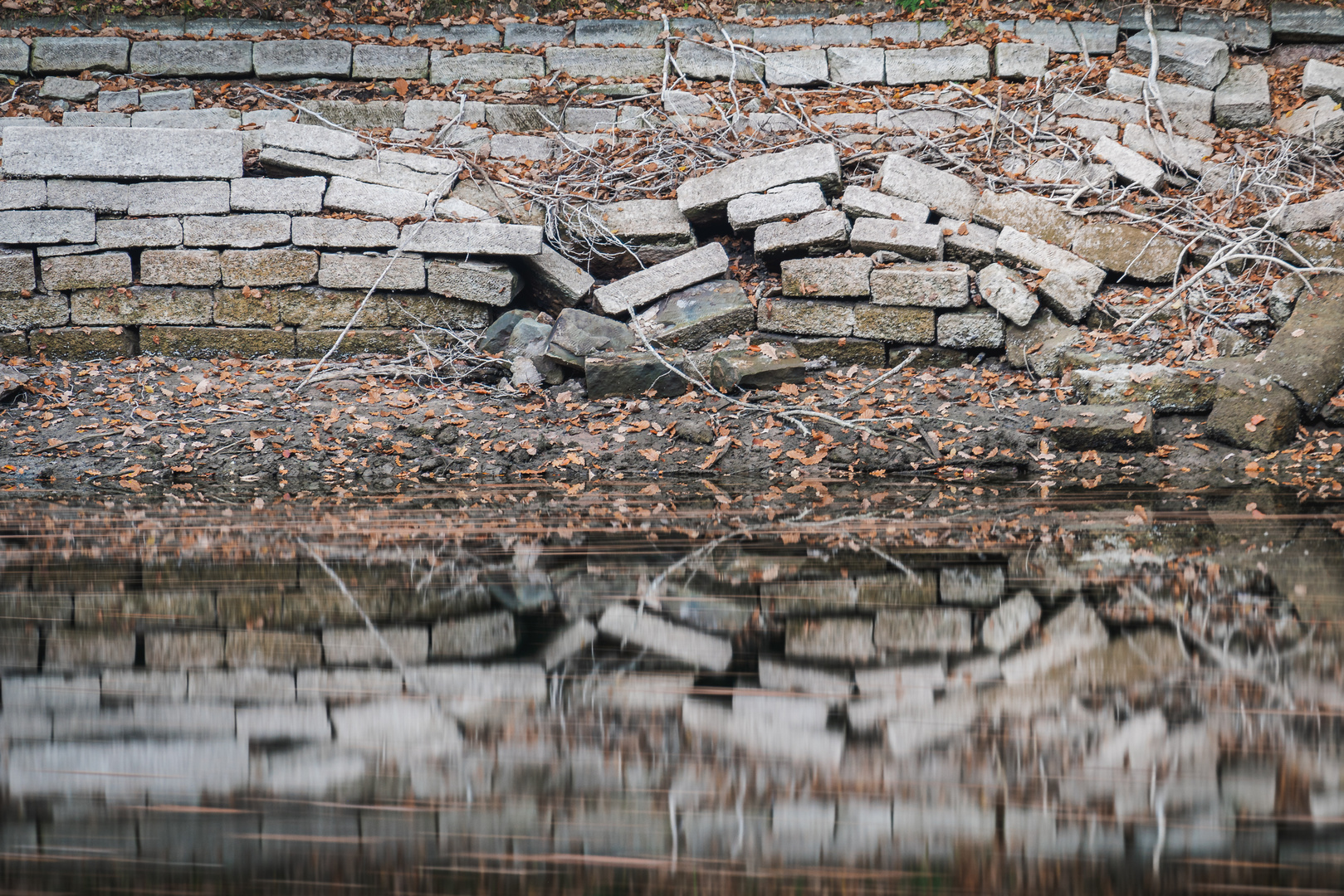 Spiegelung am Bärensee