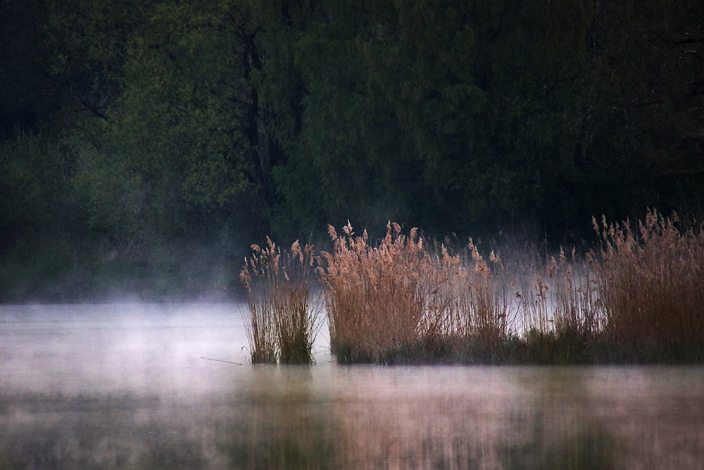 Spiegelung am Baggersee