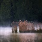 Spiegelung am Baggersee