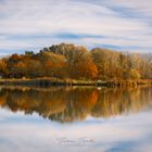 Spiegelung am Baggersee