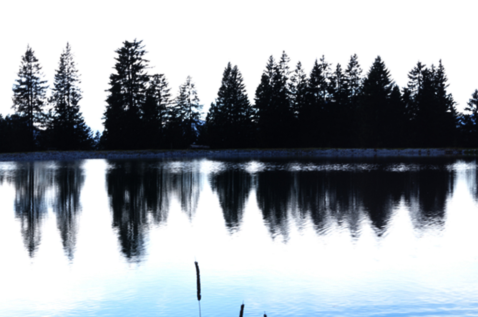 Spiegelung am Bergsee